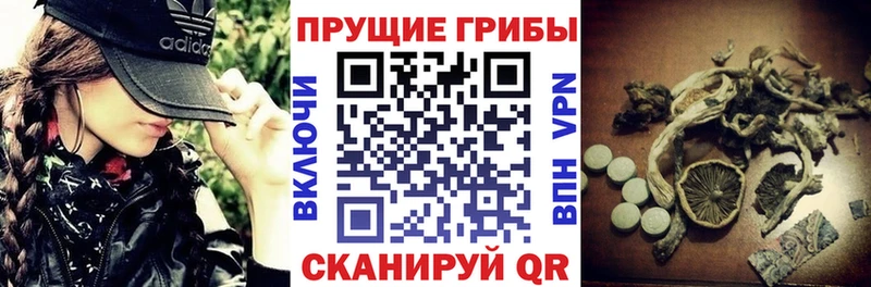 Псилоцибиновые грибы MAGIC MUSHROOMS  MEGA маркетплейс  Агидель  наркотики 